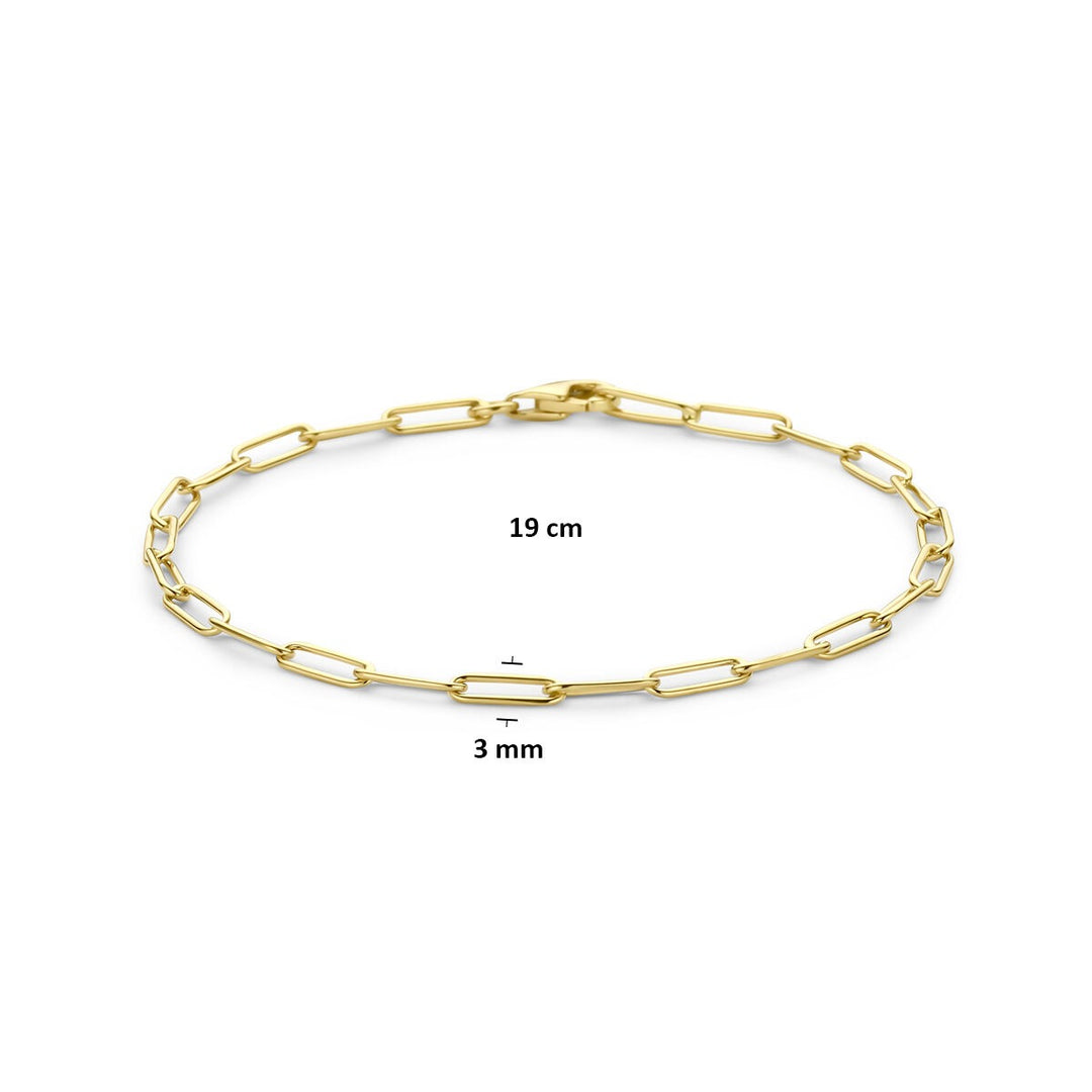 14k Geelgouden Schakel Armband Anker