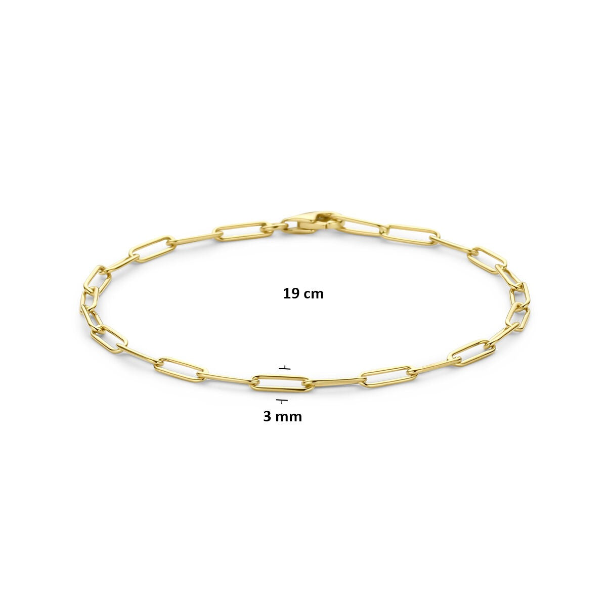 14k Geelgouden Schakel Armband Anker