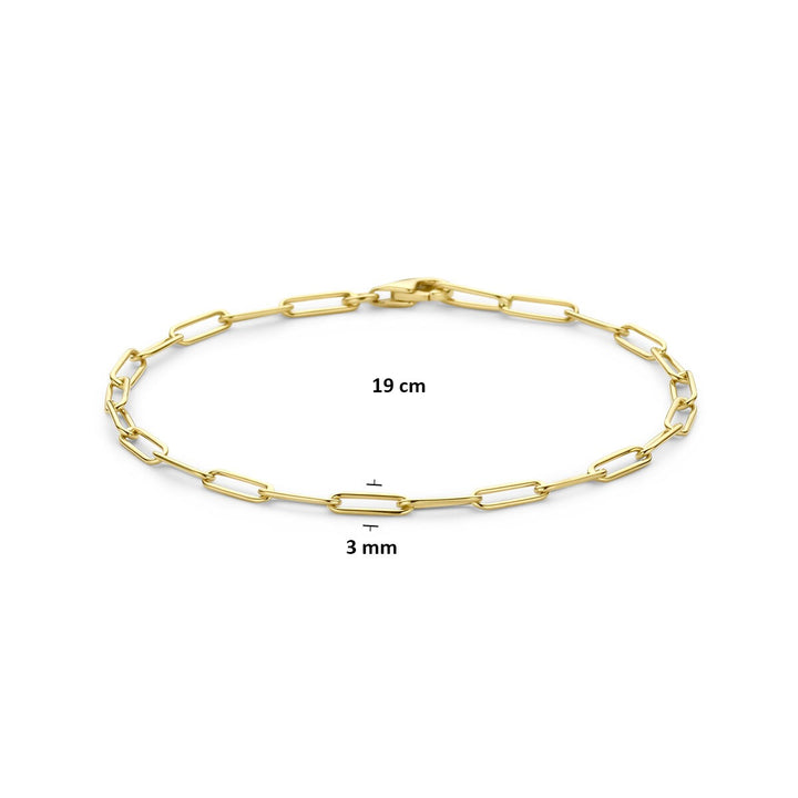14k Geelgouden Schakel Armband Anker