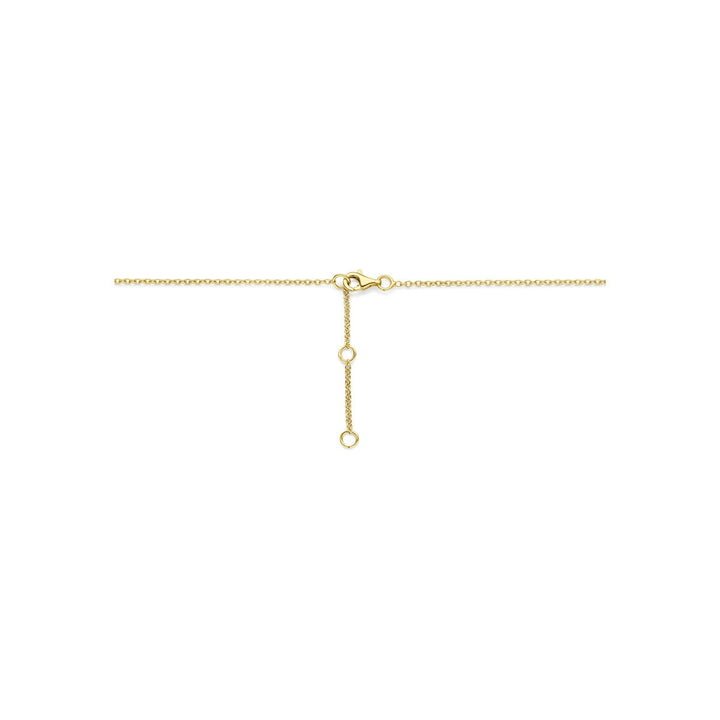 14k Geelgouden collier met druppelhanger en diamant 0,15 ct