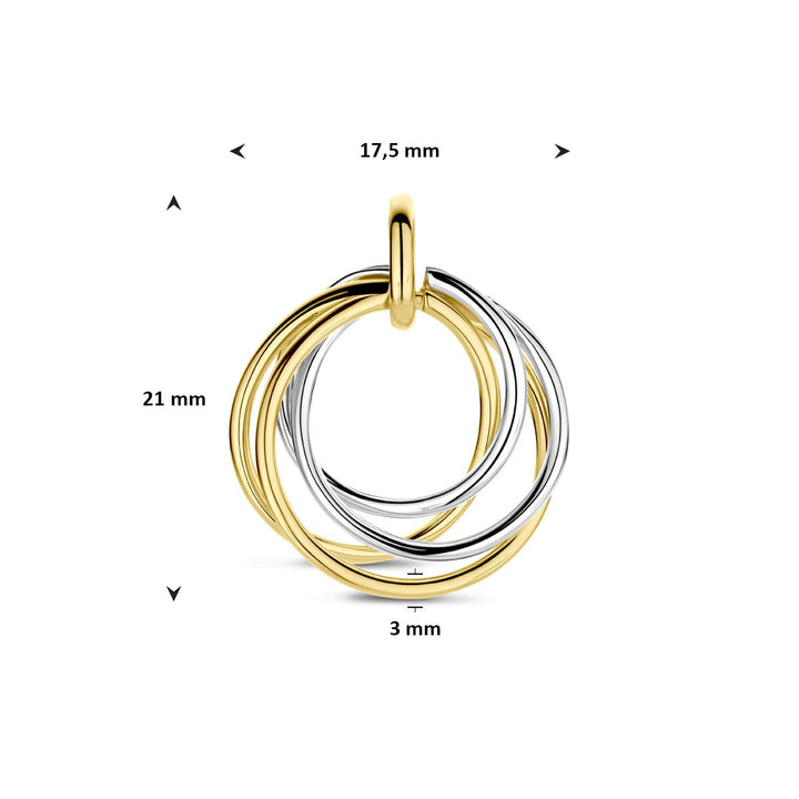 14k Bicolor hanger van geel- en witgoud – dames 21 mm