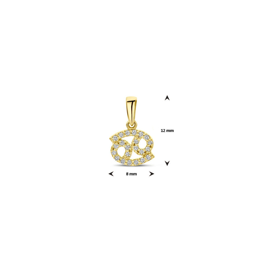 14k geelgouden sterrenbeeld hanger met diamant