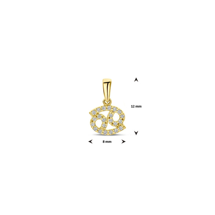 14k geelgouden sterrenbeeld hanger met diamant