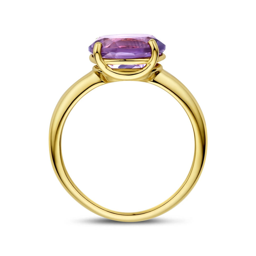 14k Geelgouden ring met amethist