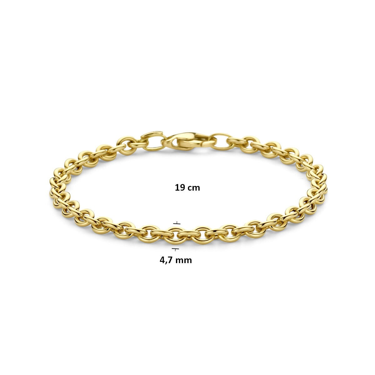 14k Geelgouden Schakel Armband Anker