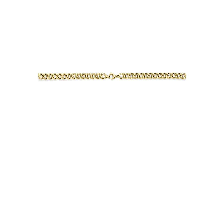 14k Bicolor Geel- en Witgouden Collier met Diamant