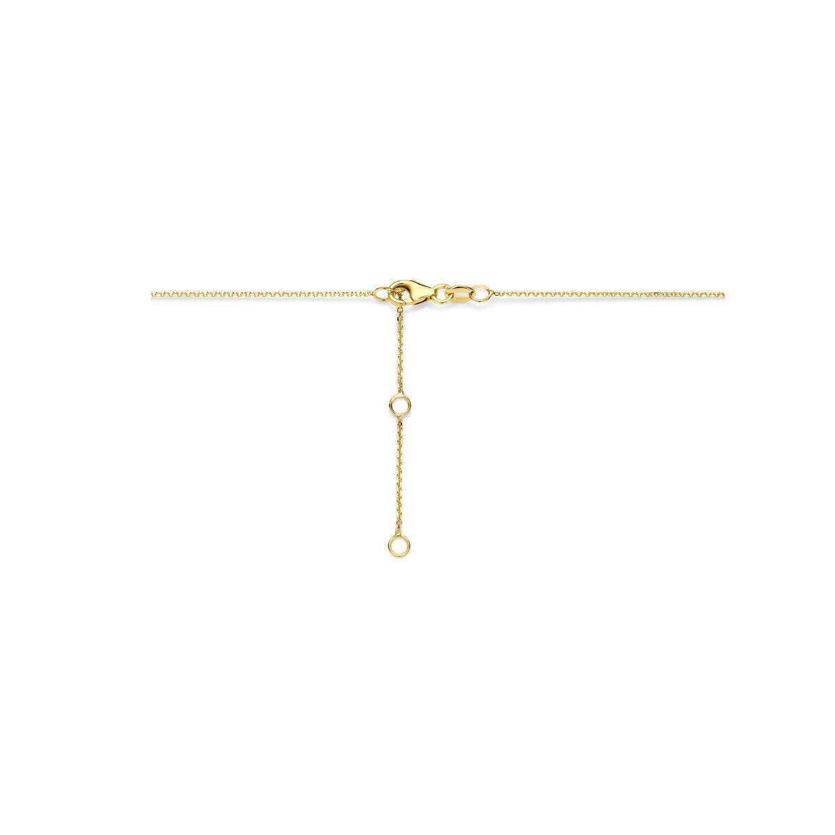 14k Geelgouden ketting met ster