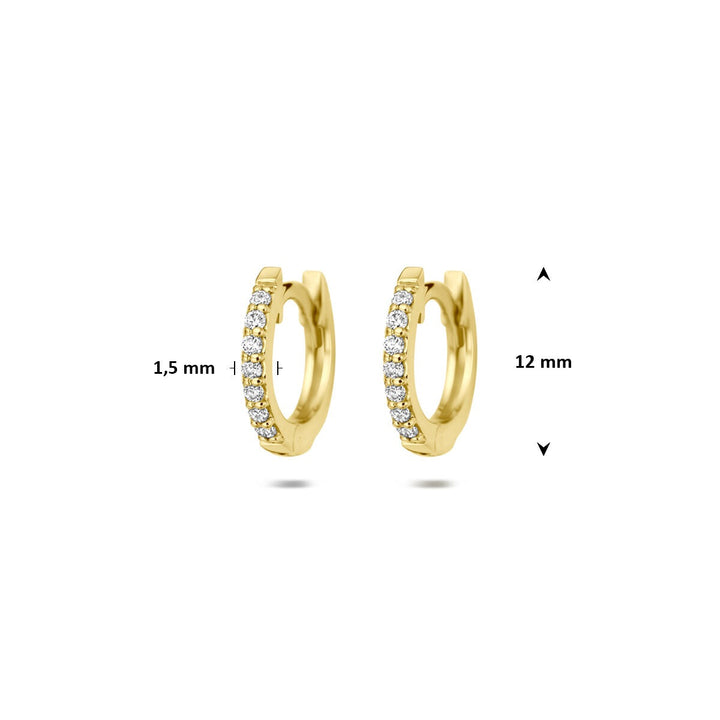 14k Geelgouden klapoorringen met lab grown diamant 0,22 ct