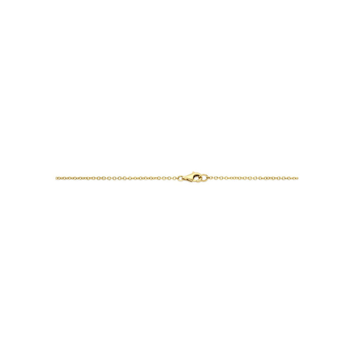14k Bicolor gouden ketting met diamant 0.80ct