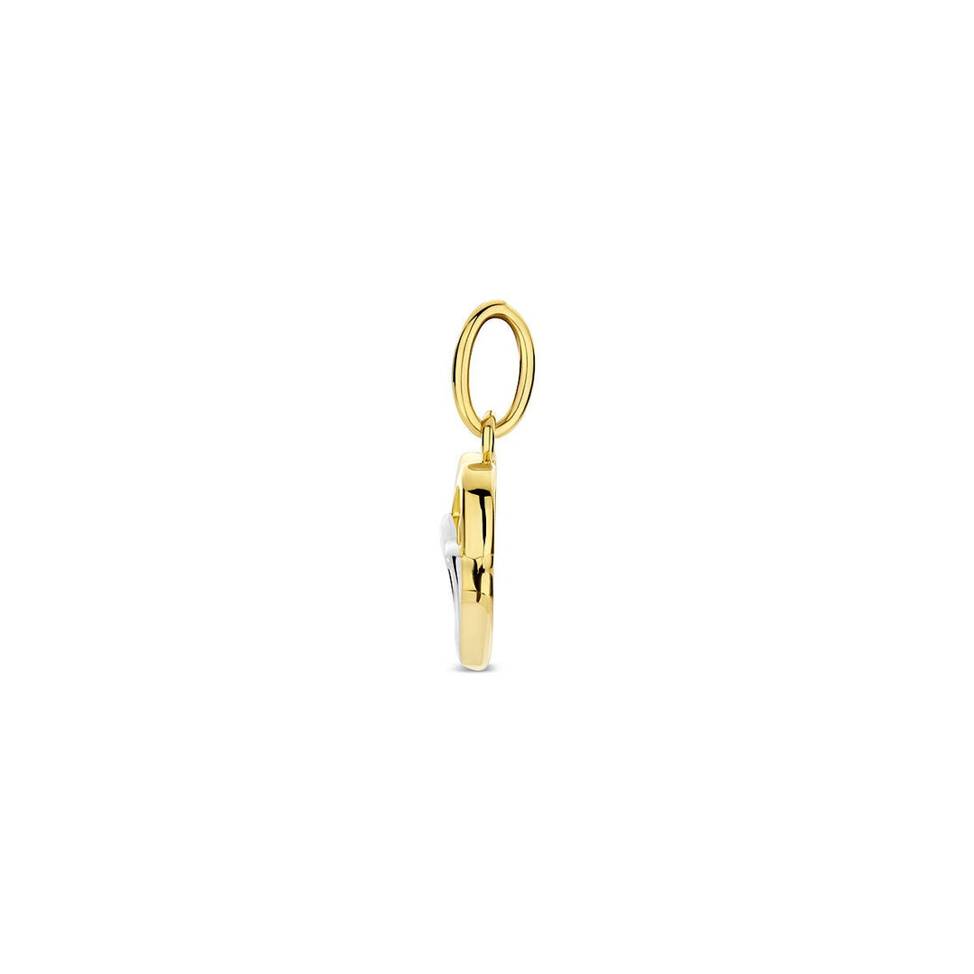 pendant heart bicolor stamped 14K yellow gold 