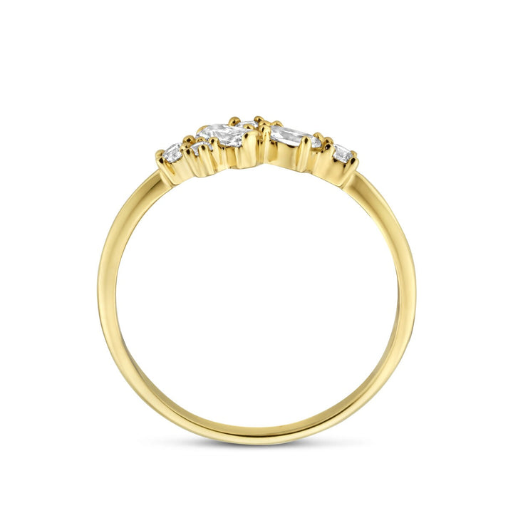 14k Geelgouden dames ring met zirkonia in entouragezetting