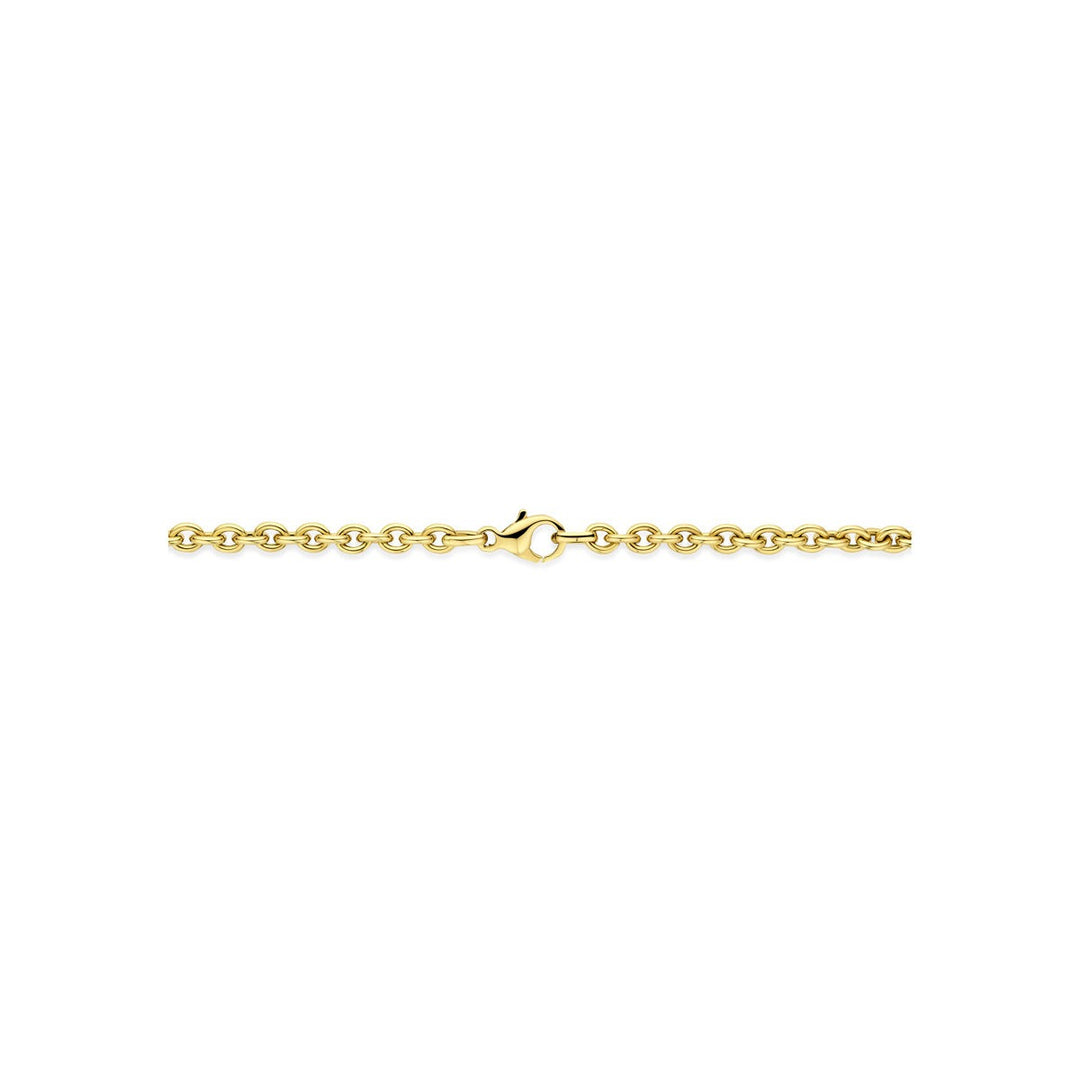 14k geelgouden collier met ankerschakel