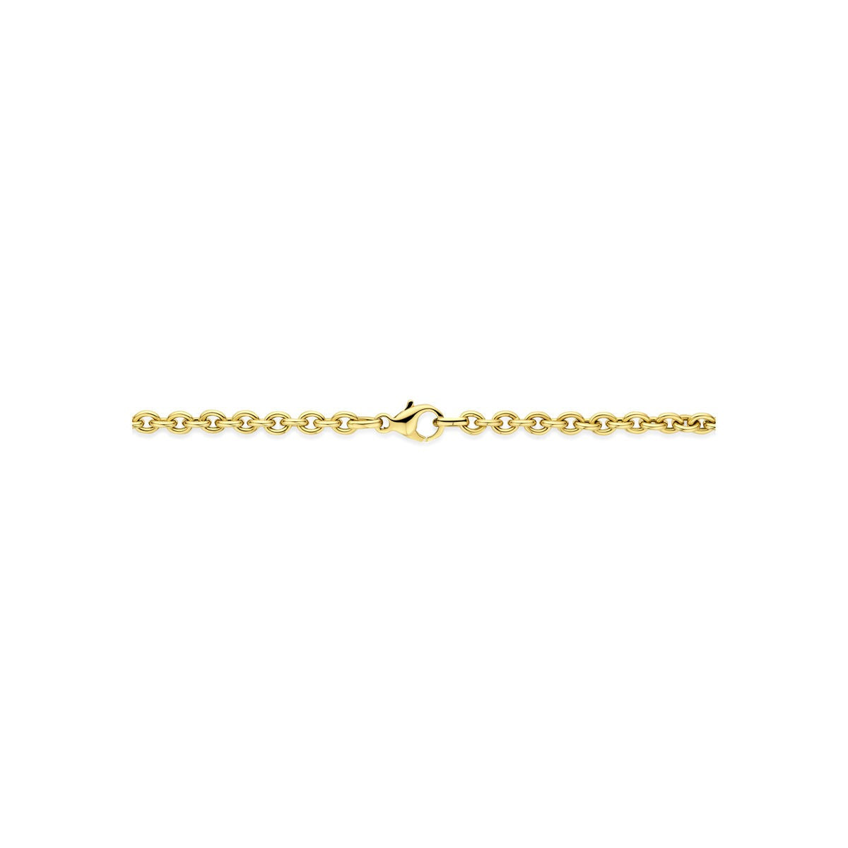 14k geelgouden collier met ankerschakel