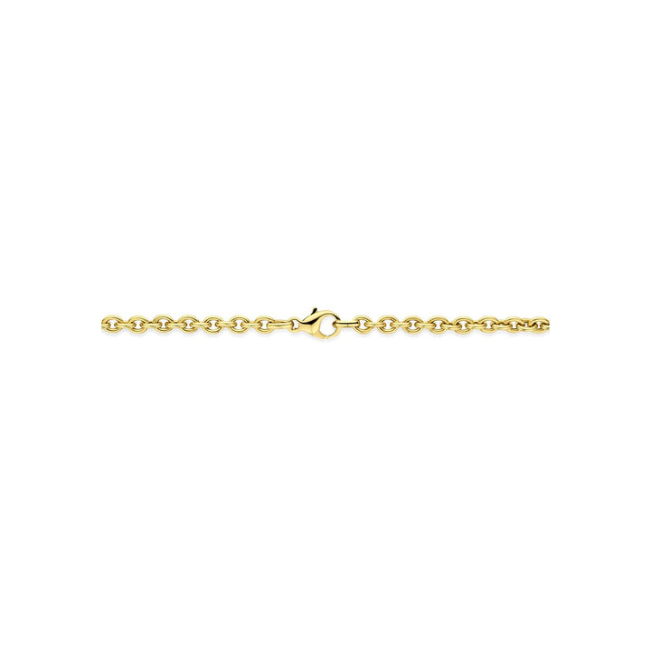 14k geelgouden collier met ankerschakel