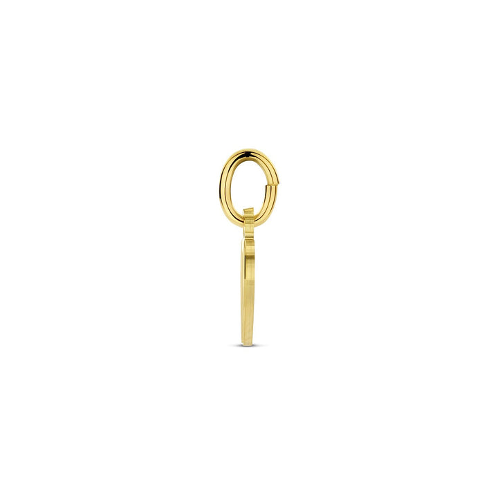 9k Geelgouden hartje graveer hanger