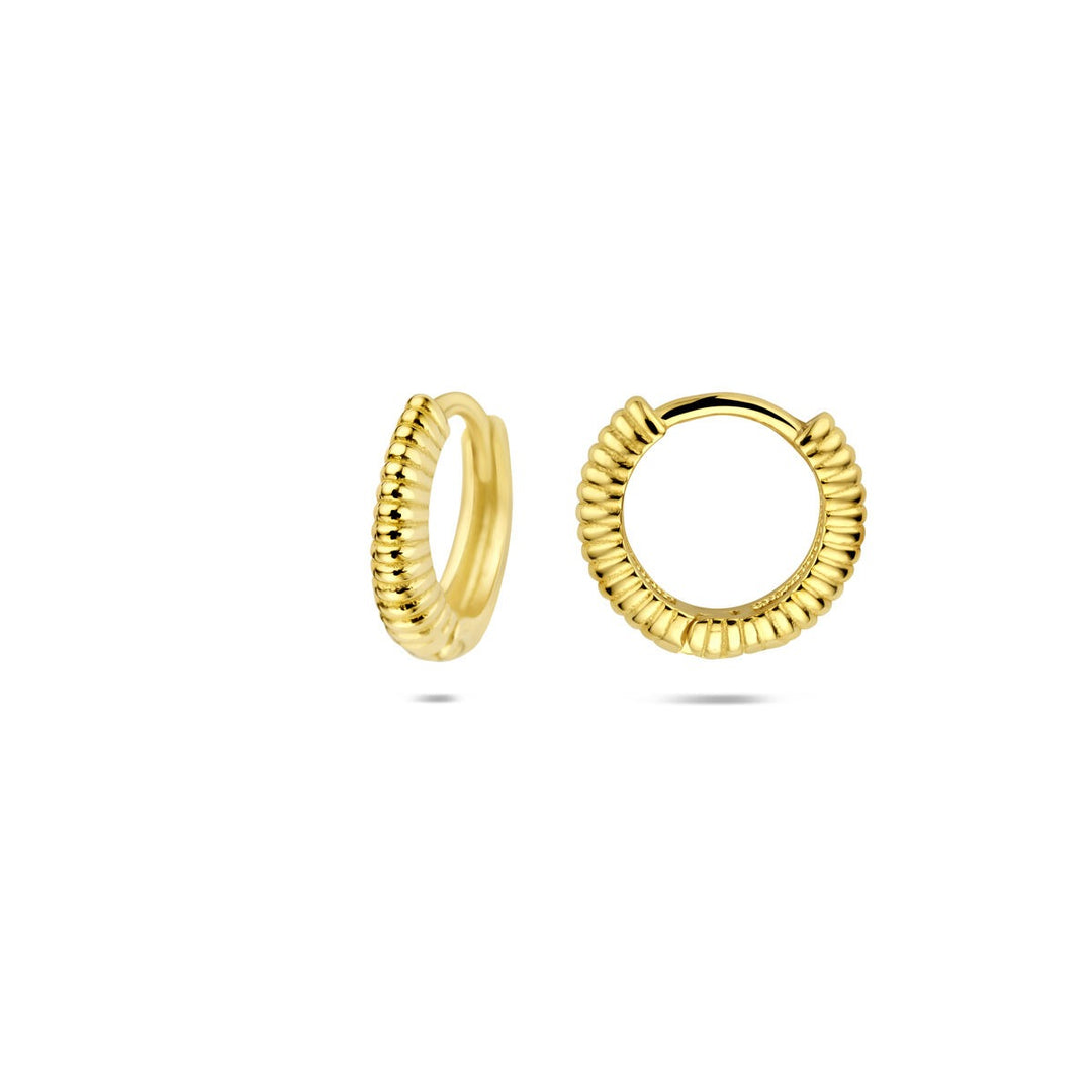 14k Geelgouden klapoorringen dames