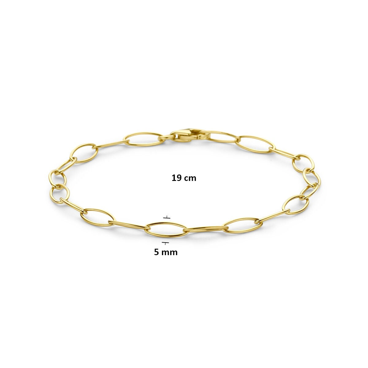 14k Geelgouden Schakel Armband Anker