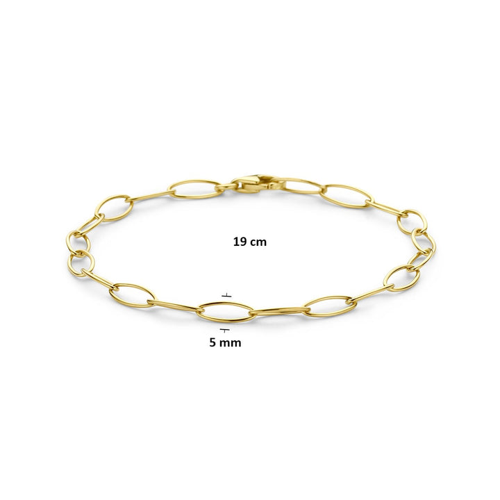 14k Geelgouden Schakel Armband Anker
