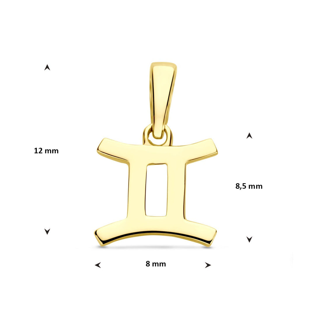 14k geelgouden hanger sterrenbeeld