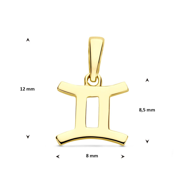 14k geelgouden hanger sterrenbeeld