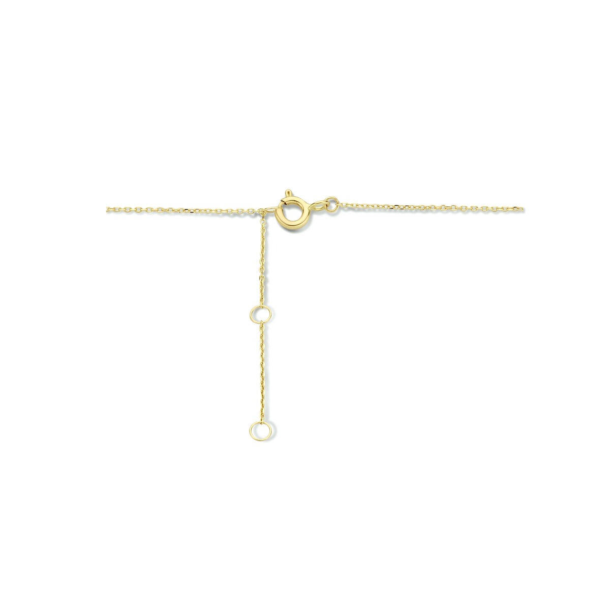 9k Geelgouden Collier met Twee Hartjes