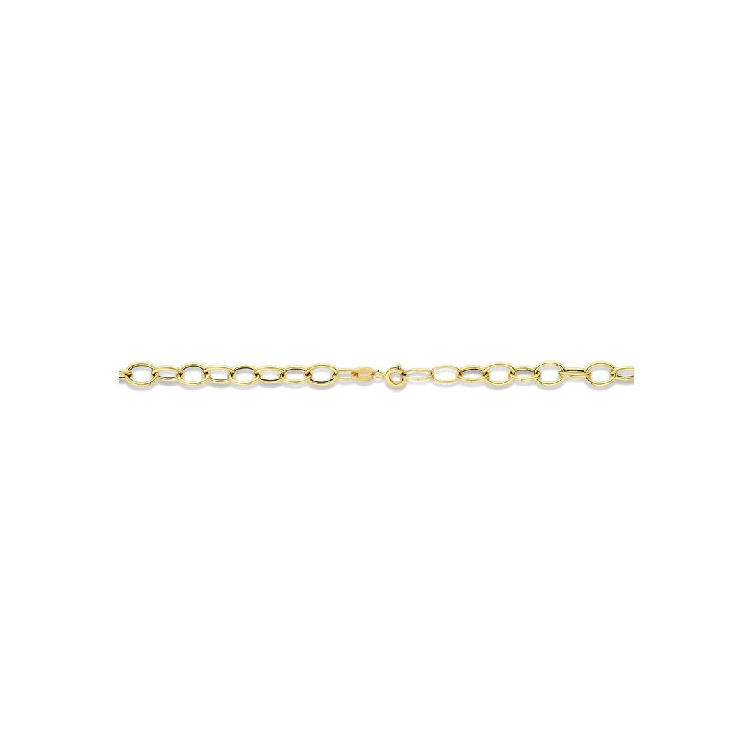 14k Geelgouden Schakel Ketting Anker