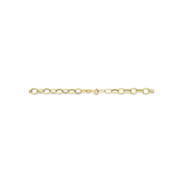 14k Geelgouden Schakel Ketting Anker