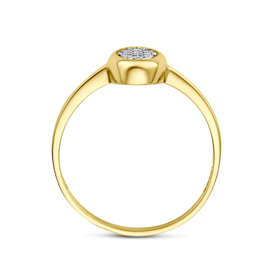 14k Geelgouden ring met ovale zirkonia pavé