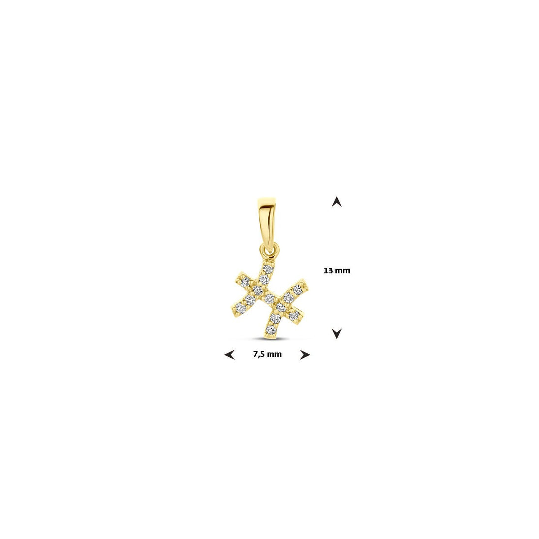 14k geelgouden sterrenbeeld hanger met diamant