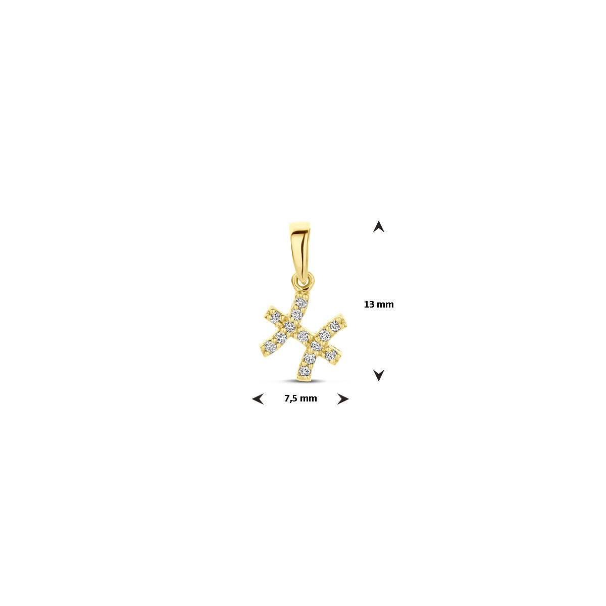 14k geelgouden sterrenbeeld hanger met diamant