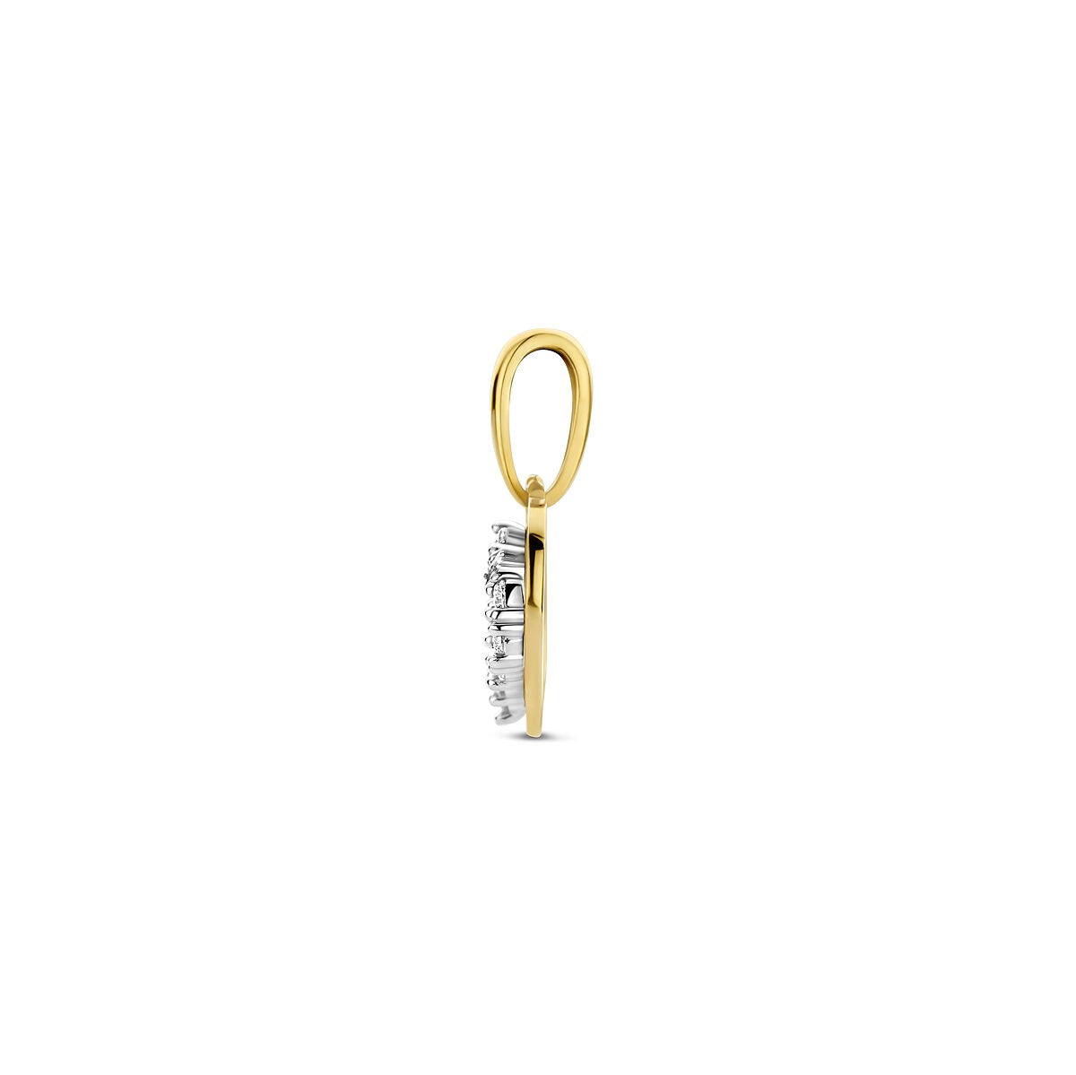 9k Bicolor Hanger Hart met Zirkonia
