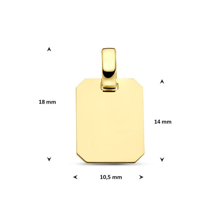 14k geelgouden graveerhanger – rechthoekige dameshanger met tijdloze eenvoud