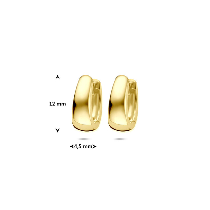9k Geelgoudkleurige klapoorringen – compact en klassiek