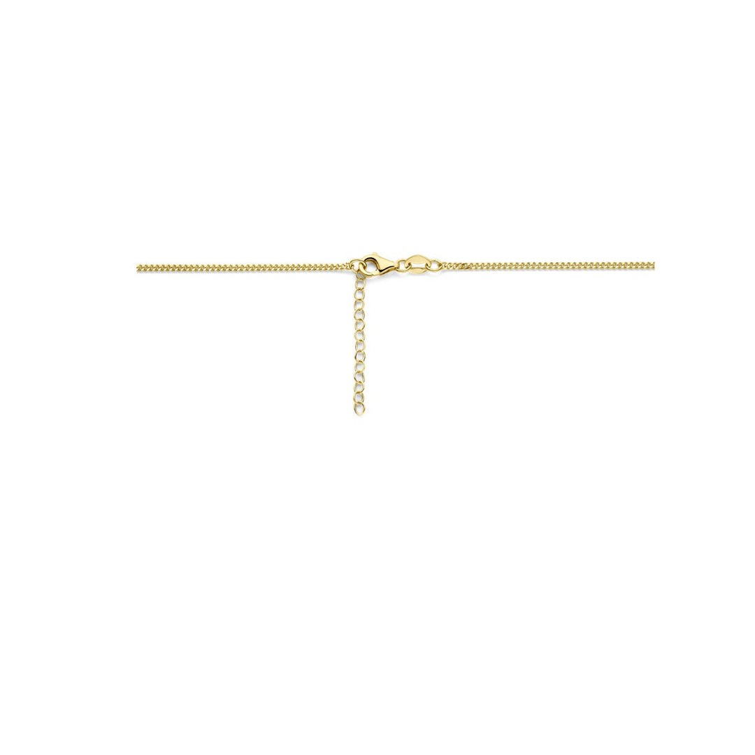 14k Geelgouden collier