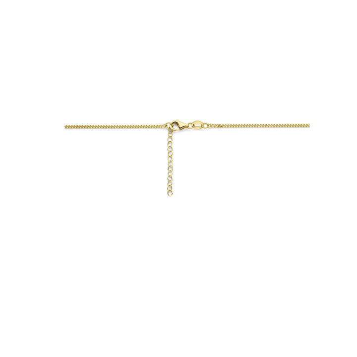 14k Geelgouden collier
