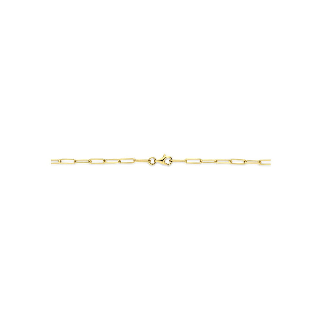14k geelgouden collier met ankerschakel