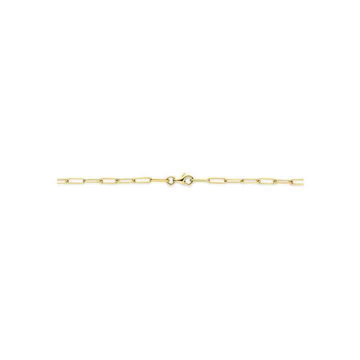 14k geelgouden collier met ankerschakel