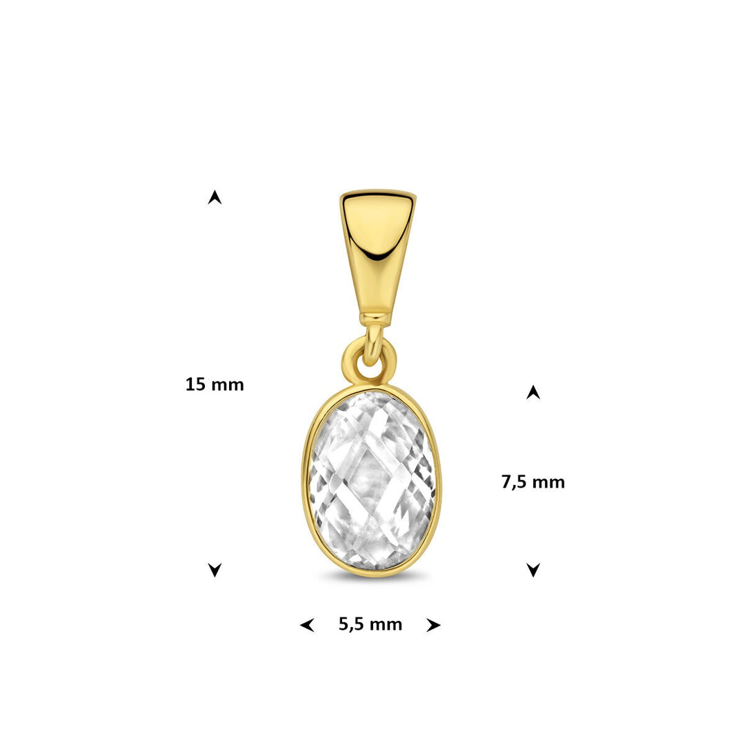 9k Geelgouden hanger met ovale zirkonia