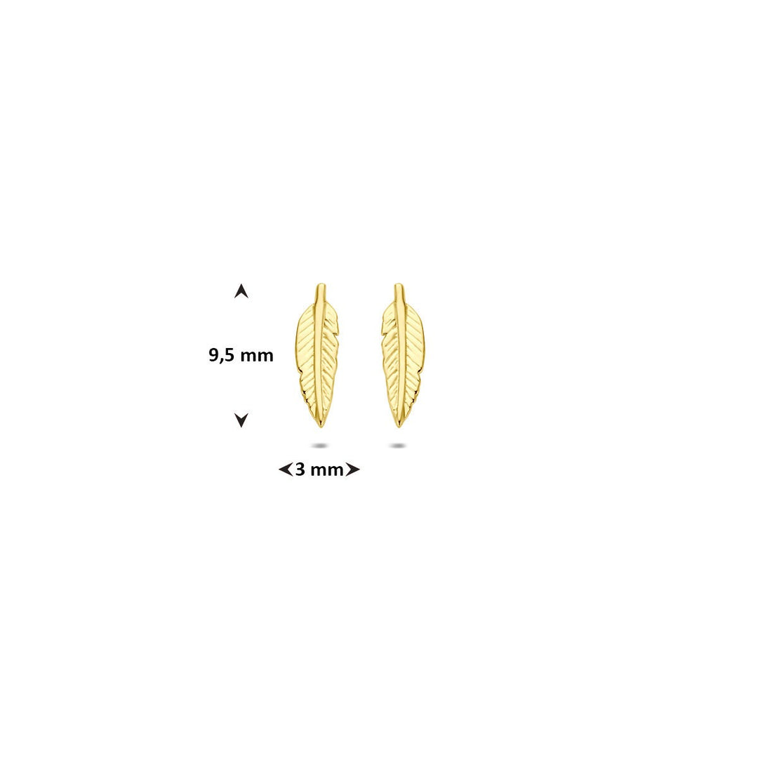 9k geelgouden oorknoppen – bladvormig design