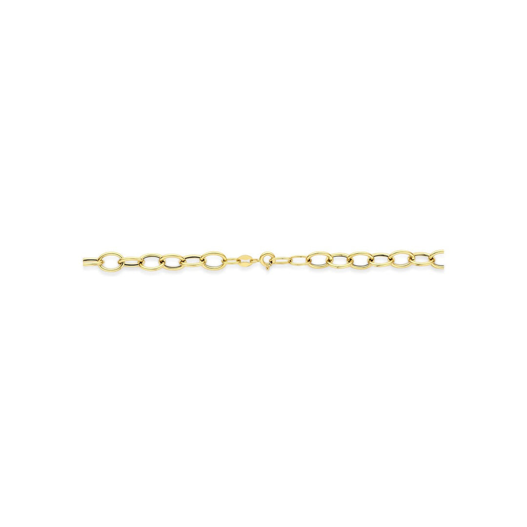 14k Geelgouden Schakel Ketting Anker