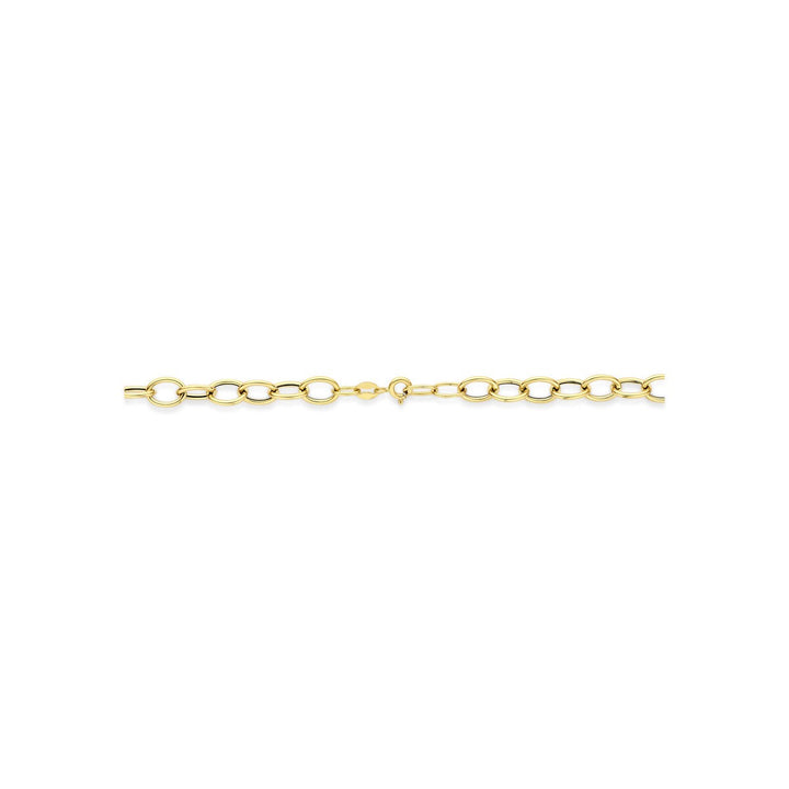 14k Geelgouden Schakel Ketting Anker