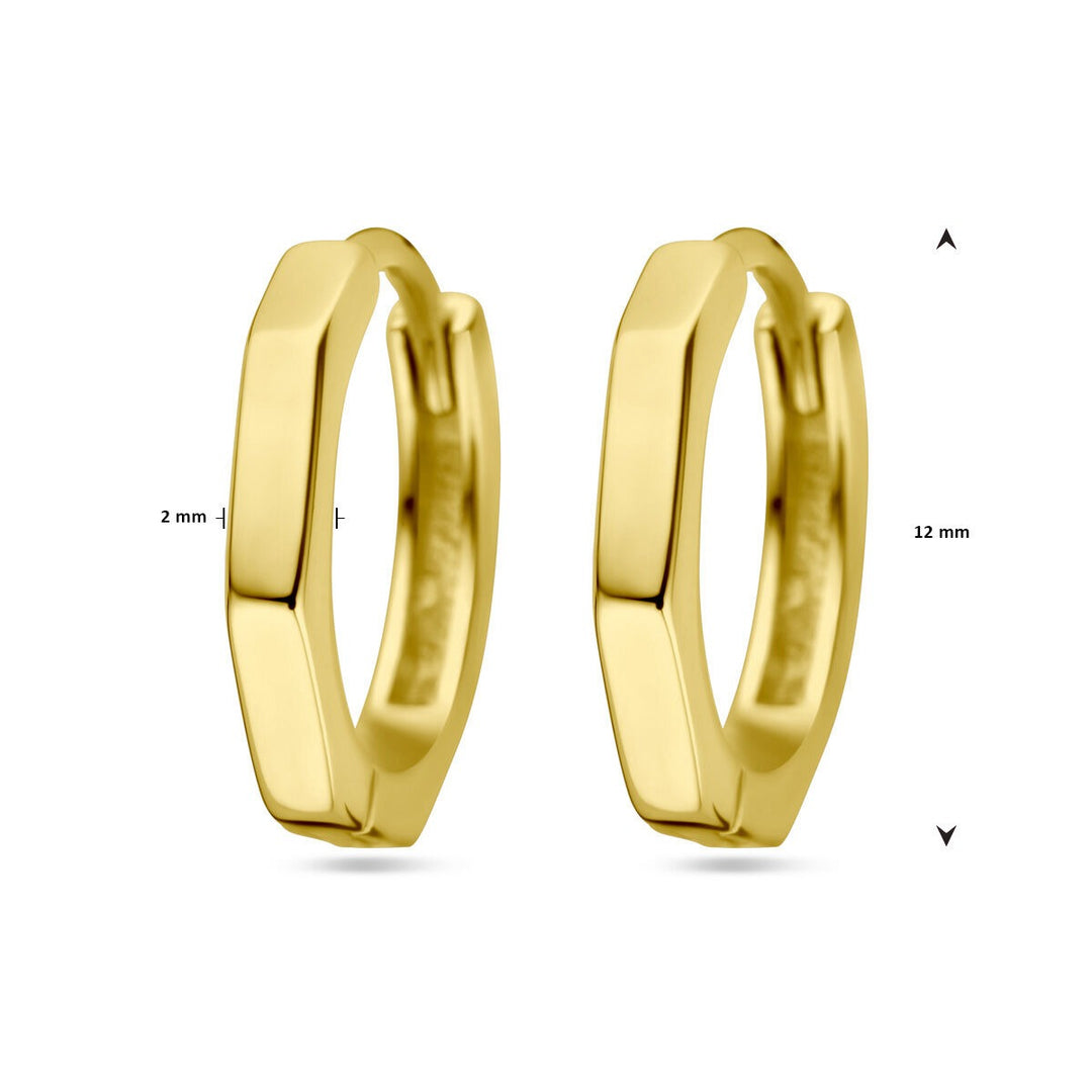 Verguld Zilveren Klapoorringen – 12x2 mm