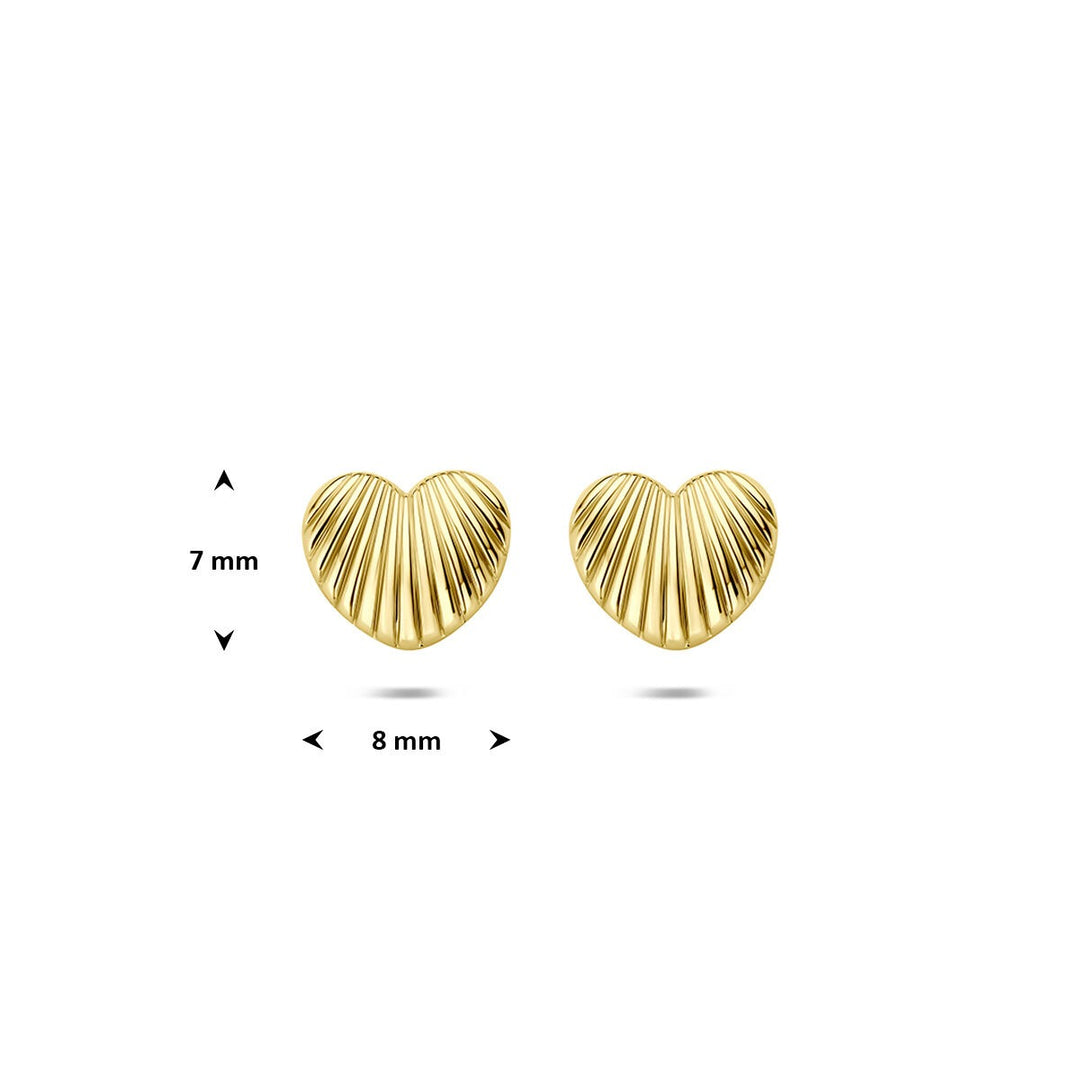 9k Geelgouden hartjes oorknoppen