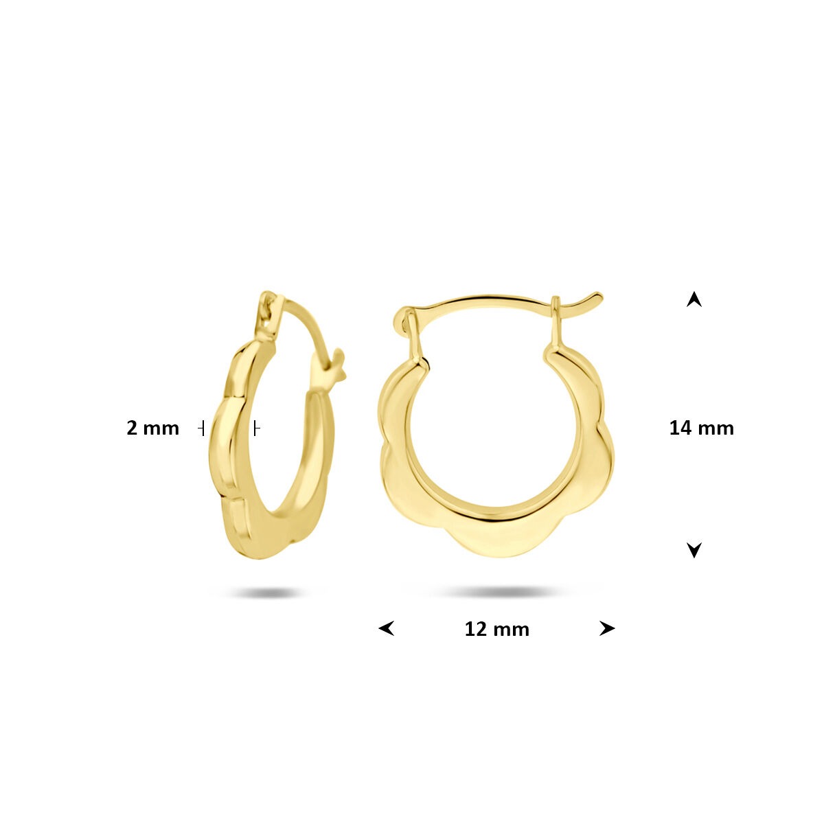 9k Geelgouden oorringen