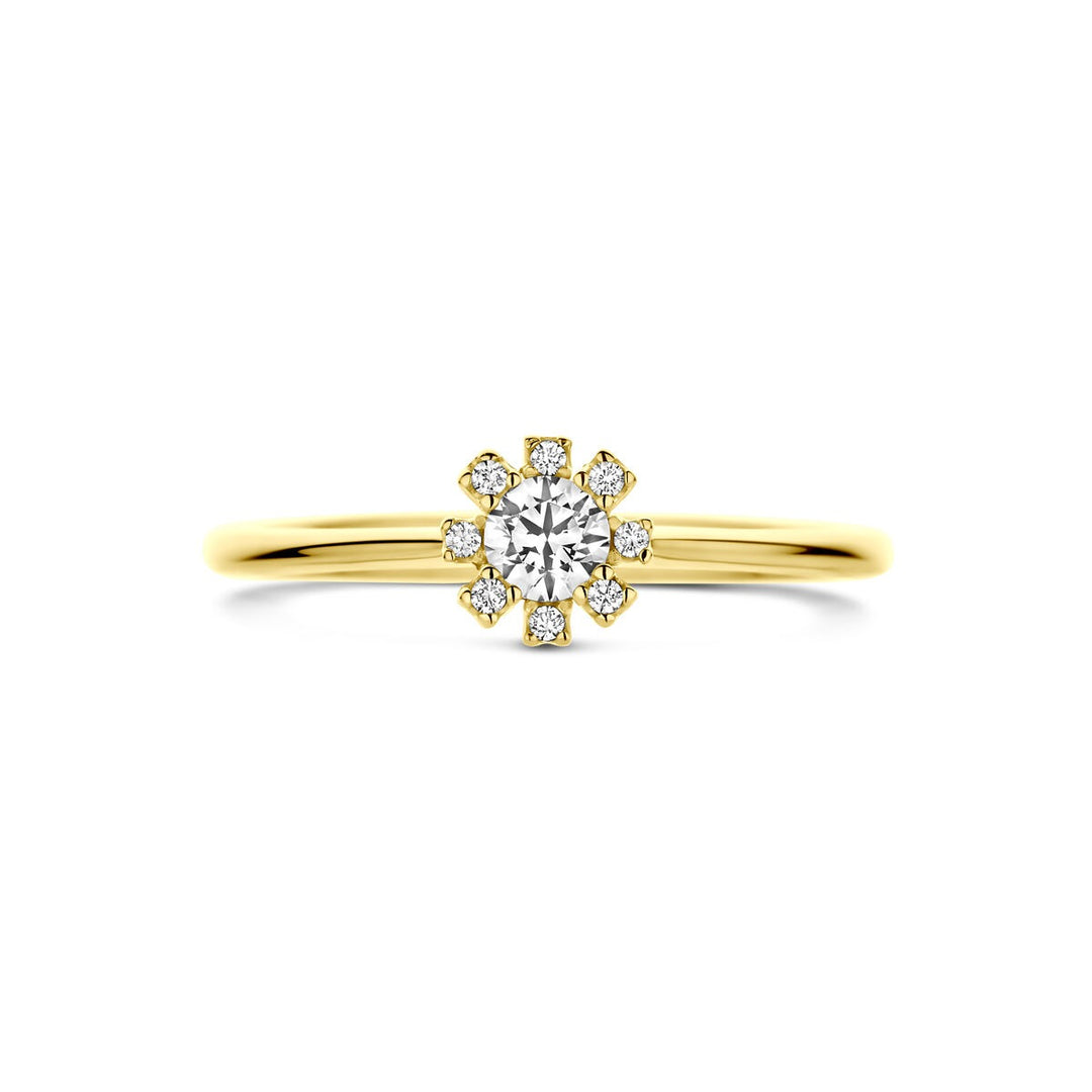 14k geelgouden damesring met zirkonia – elegante ring in entourage stijl
