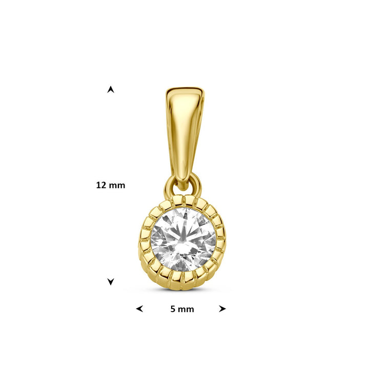 9k Geelgouden hanger met zirkonia