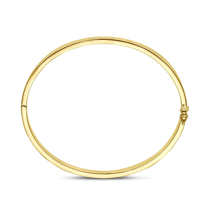 9k Geelgouden bangle armband met zilveren kern