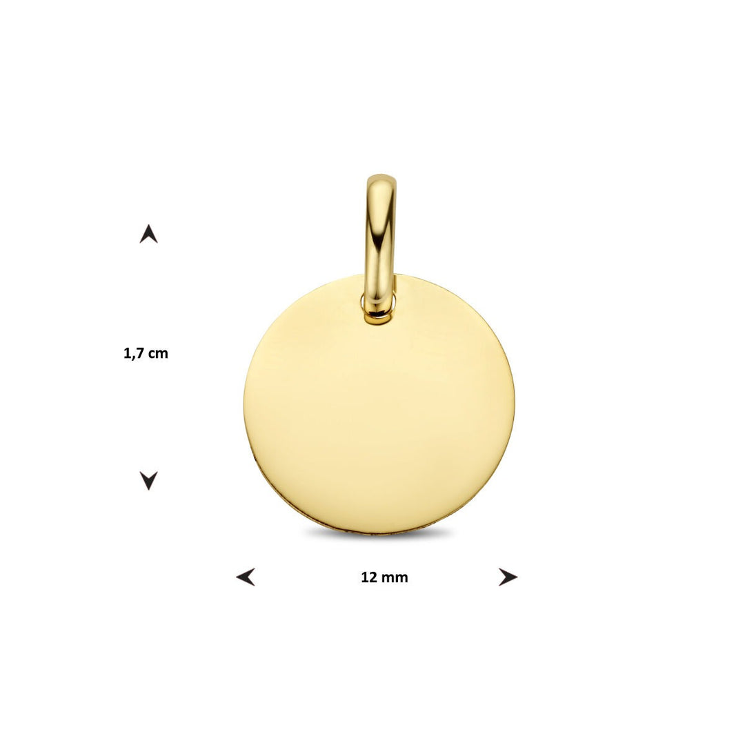 9k Geelgouden Graveerhanger Rond
