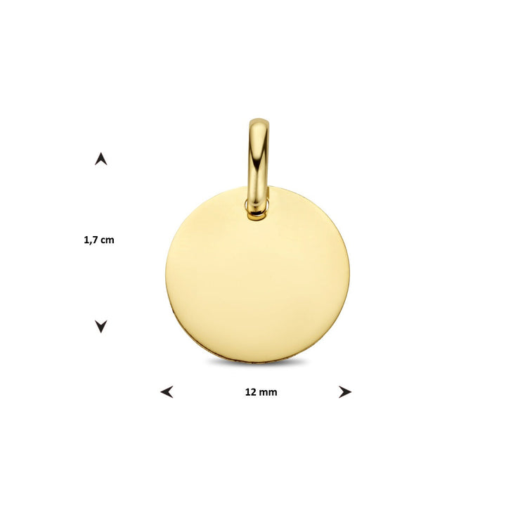 9k Geelgouden Graveerhanger Rond
