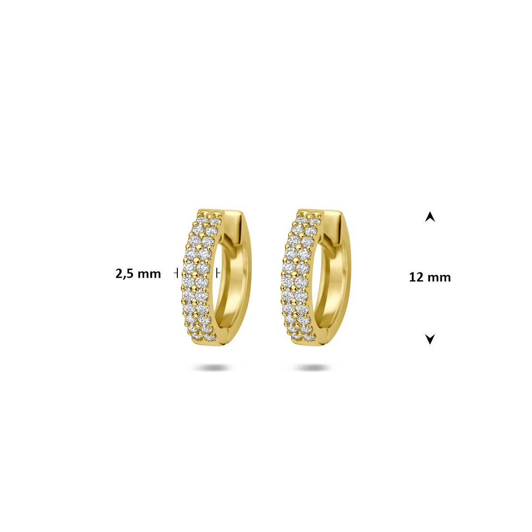 14k Geelgouden klapoorringen met zirkonia